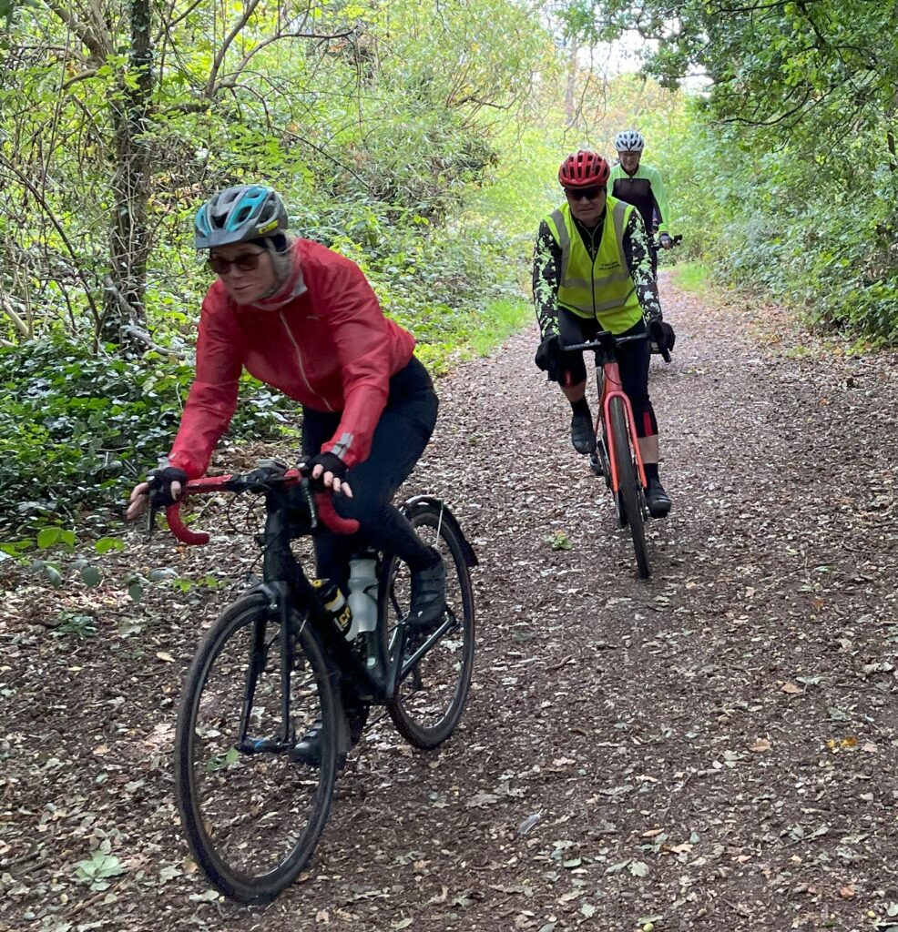 Cyclists ride on a track through woodland